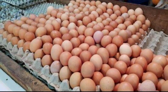 (Foto Ilustrasi) Bansos menjelang Lebaran berupa ayam dan telur rencananya akan dibagikan ke tujuh provinsi.